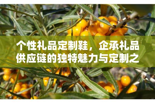 个性礼品定制鞋，企承礼品供应链的独特魅力与定制之旅